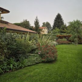 manutenzione giardini Monteporzio Catone